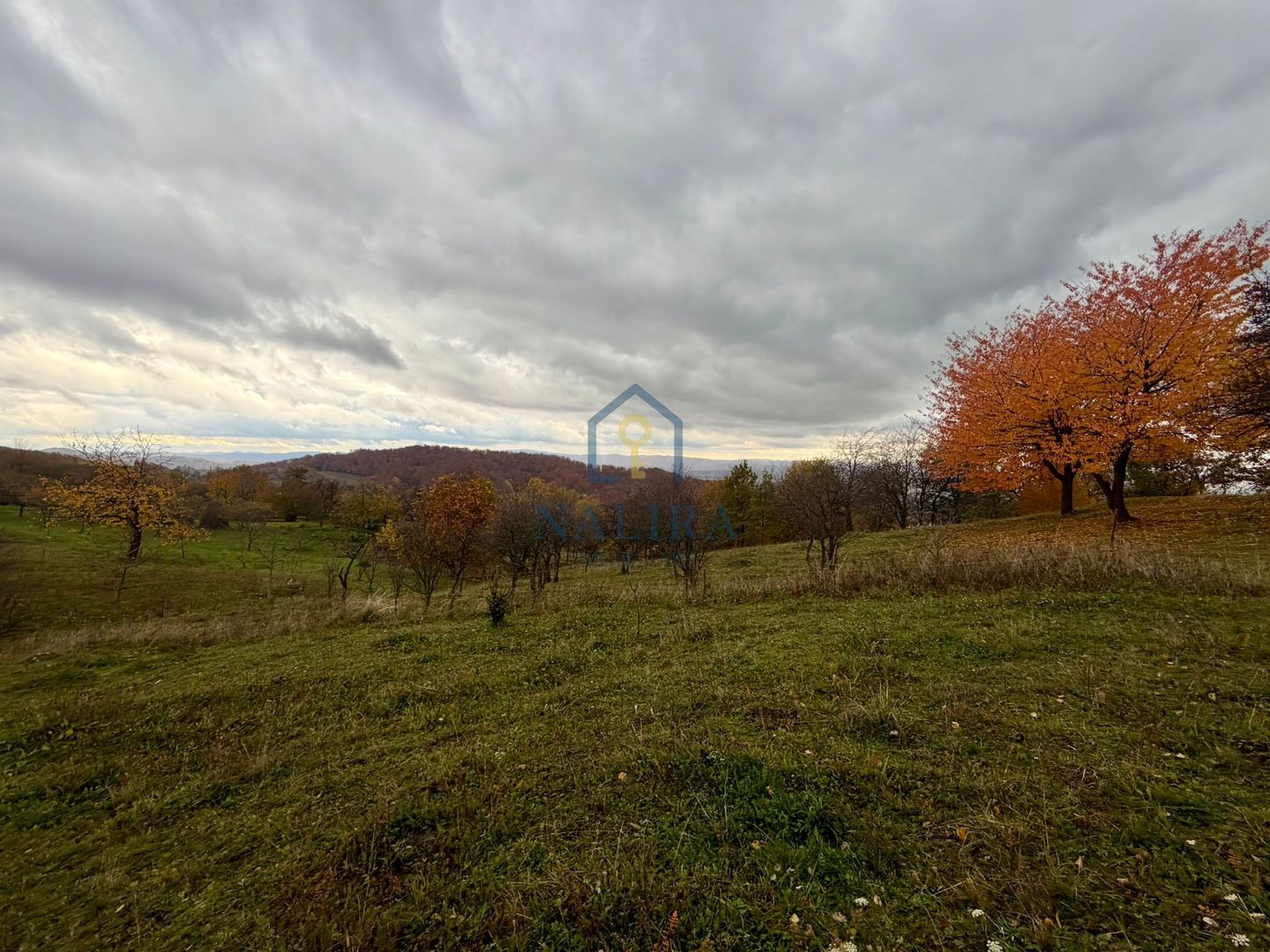Teren Negreia - Poză 3