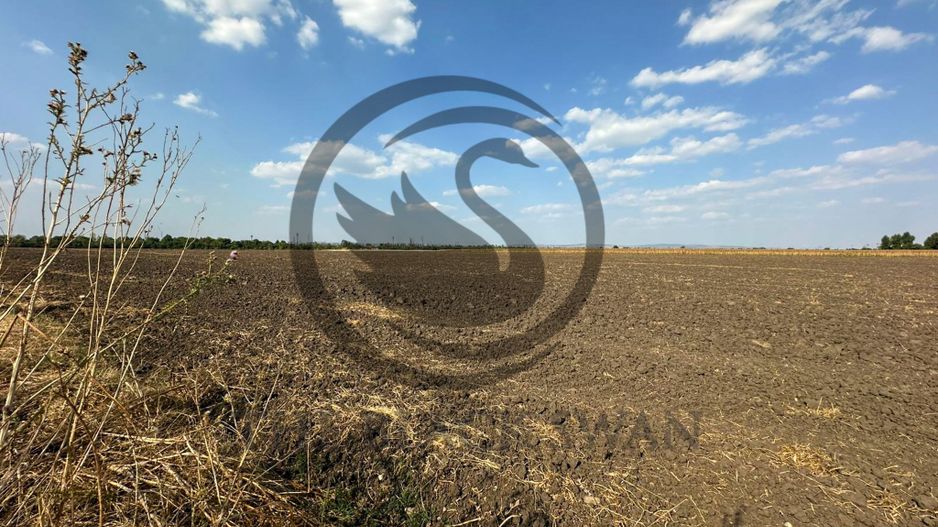 Teren extravilan de vanzare | 9882mp | Berceni - Prahova | Comision 0% - Poză 7