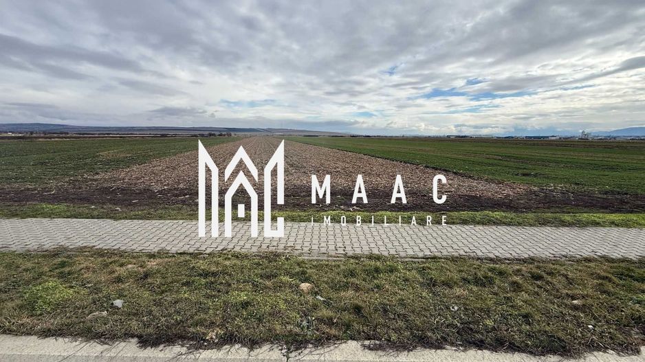 Teren intravilan | 9600 mp | Șură Mică | Utilități | Drum Asfaltat - Poză 2