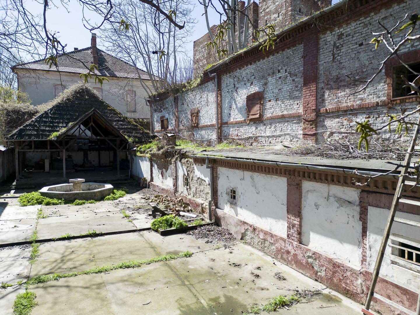 Teren ultracentral 1200mp și construcții - Poză 7