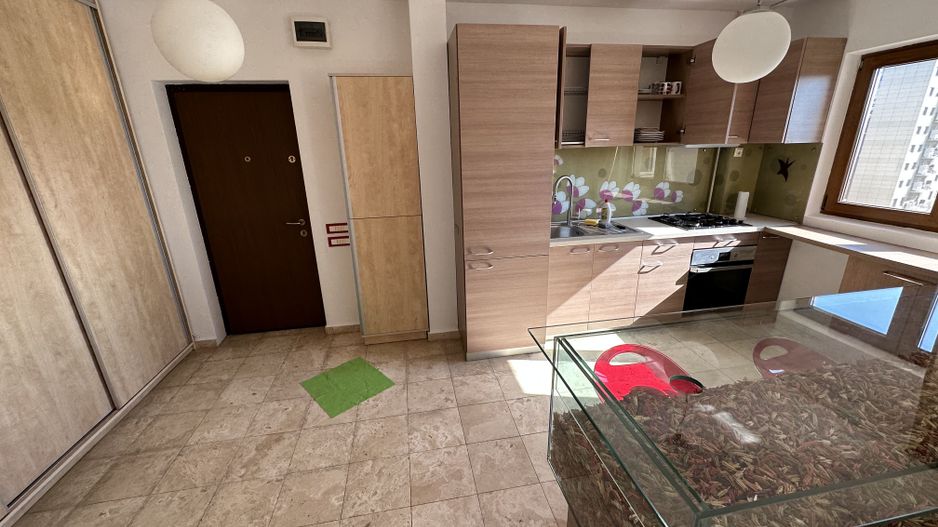 | Apartament 2 camere - 13 Septembrie - Marriott | - Poză 8