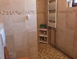 INCHIRIERE VILA S+P+1+M | ZONA DECEBAL - Poză 12