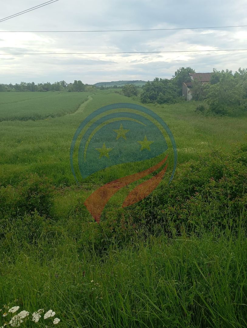 Teren 7140 mp de vanzare Murgasi - Oportunitate  investiție - Poză 2
