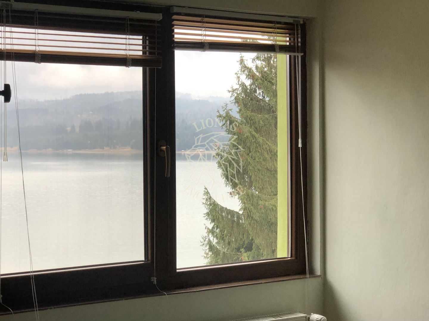 Casa de vacanta 200 mp-deschidere la Lac Colibita-EXCLUSIVITATE - Poză 6