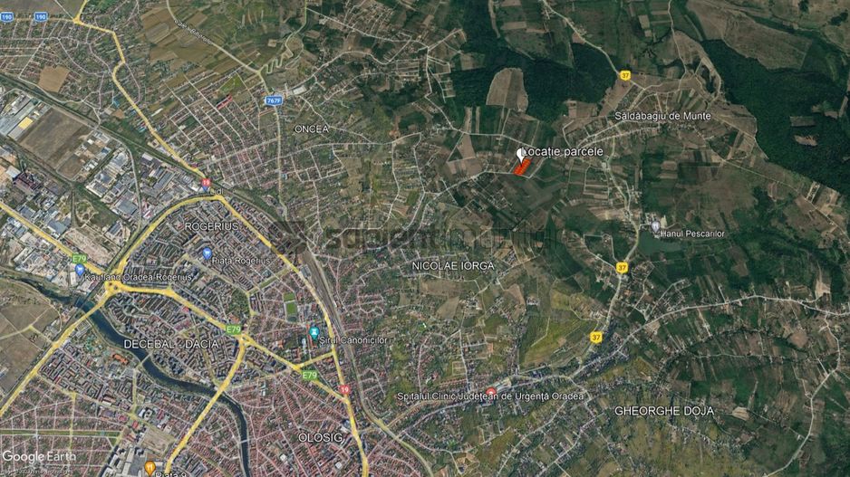 Teren Paleu - Poză 4