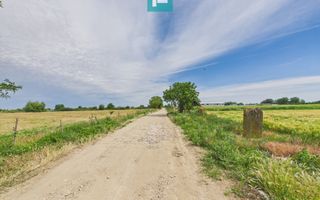 Teren extravilan 5000 mp, Arad - Poză 8