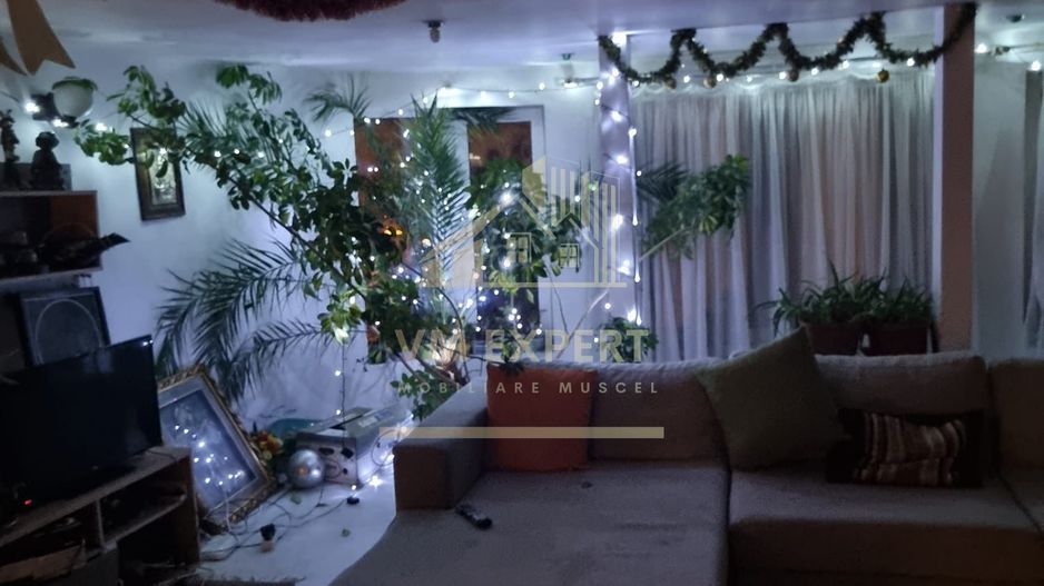 VILA - PENSIUNE CU RESTAURANT + SI TEREN 6406 MP, VALEA MARE PRAVAT, - Poză 7