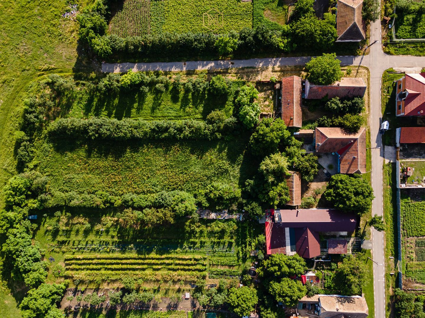 OFERTA VANDUTA  - Casa Izvin | 4 camere - 146 mp | Centrala gaz | Teren 3157 mp - Poză 26