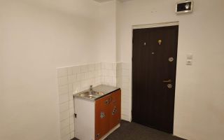 Oportunitate in Centrul Civic: camera la parter cu utilitati si beci - Poză 2