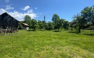 TEREN INTRAVILAN 3477 MP STOENEȘTI BĂDENI ARGEȘ - Poză 3