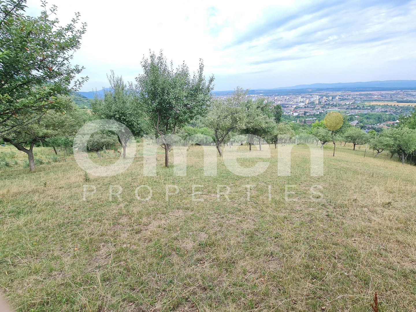 Teren de vânzare | Suprafață 10.040 mp | 2.500 € / ar | Strada Nucului - Poză 2