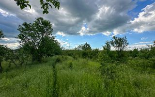 Teren de vanzare | 3.600mp | Valeni de Munte, Prahova | Comision 0% - Poză 5