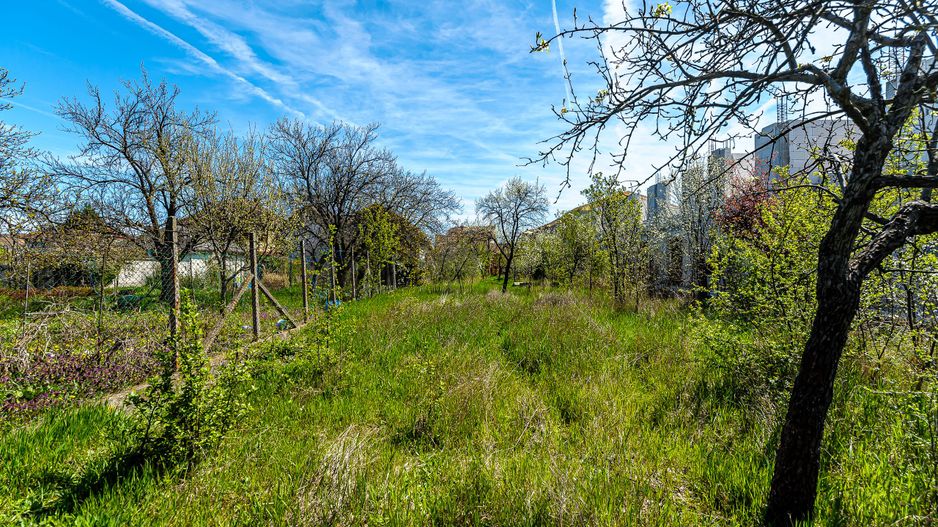 Casă veche cu teren generos într-o locație deosebită - oportunitate - Poză 4