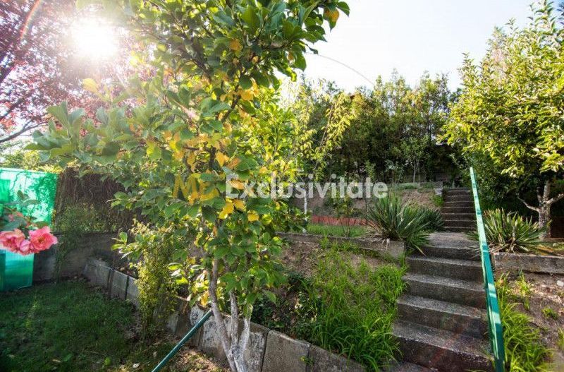DE INCHIRIAT - Apartament in vila - 2 camere - Str. Trivale - Poză 12
