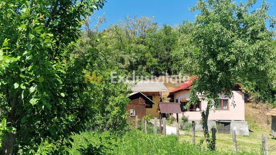 Proprietate în Comuna Botești, Județul Argeș – Zonă Pitorească și Liniștită ! - Poză 22