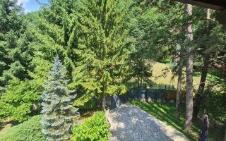 In inima muntelui! Vanzare pensiune in Moroeni-Jud Dambovita - Poză 11