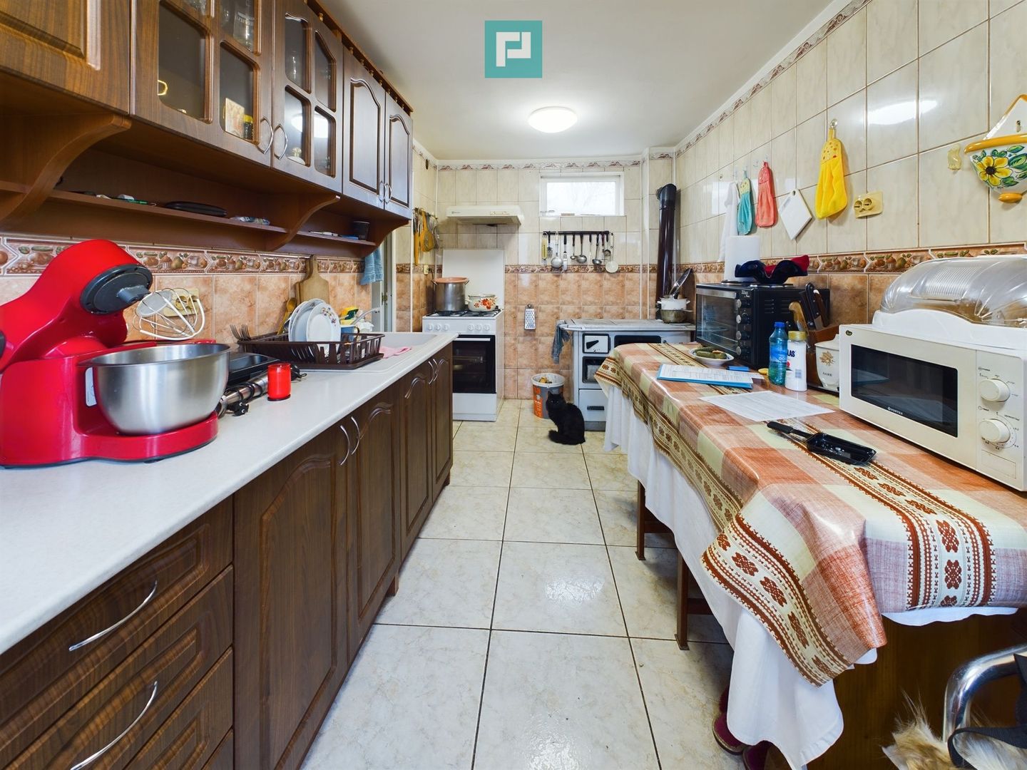 Casa modesta, 2500 mp teren, Domnesti - Poză 5