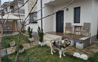 Casa individuala mobilata utilata modern Berceni