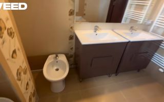 Triplex 131 mp total + Pod 35 mp | Terasa 25 MP | Garaj | Turnisor - Poză 8