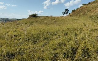 Teren Extravilan - Gușterița, Sibiu - 4600 mp - Poză 2