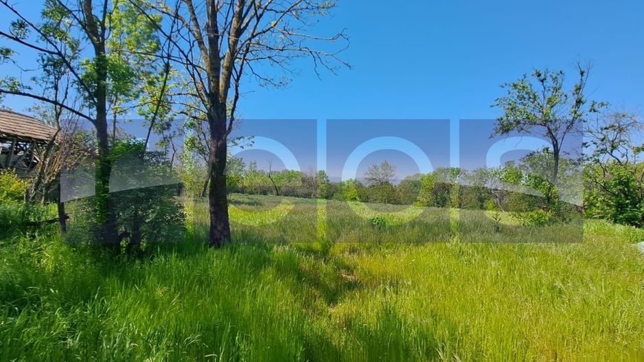 CASA TARANEASCA | TEREN 3000 MP | DESCHIDERE 52 M | COMUNA CIOLANESTI - Poză 2