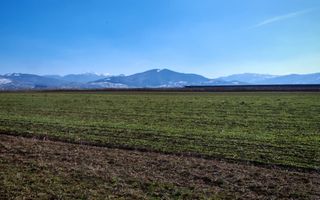 Teren cartier Izvor langa Brasov - Poză 4