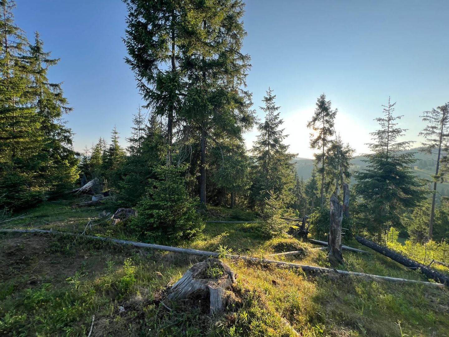 50 hectare teren | Moldova-Sulita | Potential turistic si agricol - Poză 13