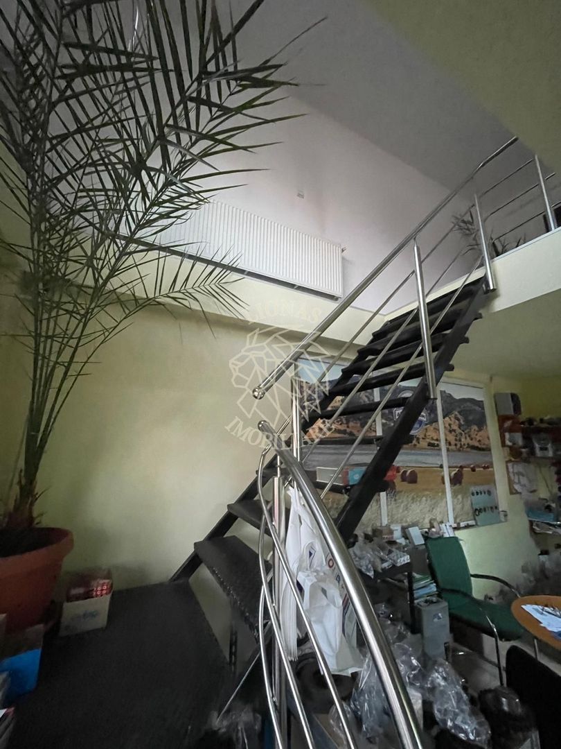 Hala la strada principala 350 mp-Viisoara - Poză 10