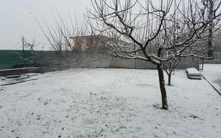 Casa individuala cu garaj, 135 mp utili, 507 mp teren in Dambu Rotund - Poză 2