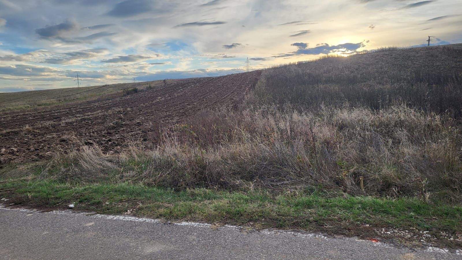 Teren de vânzare in comuna Șotânga, sat Teiș – 4183 mp - Poză 1