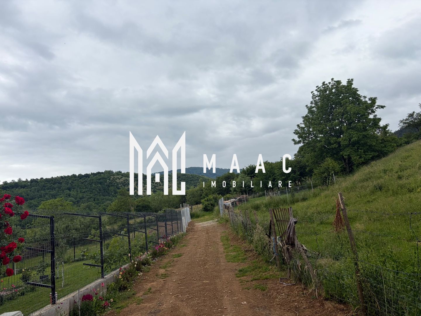 Casa 3 camere | 2 bai | anexe | Zona Rasinari 100 MP utili| - Poză 4