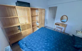 3 camere Semidecomandat | 2 bai | Parcare | Mobilat Utilat | Curte - Poză 19