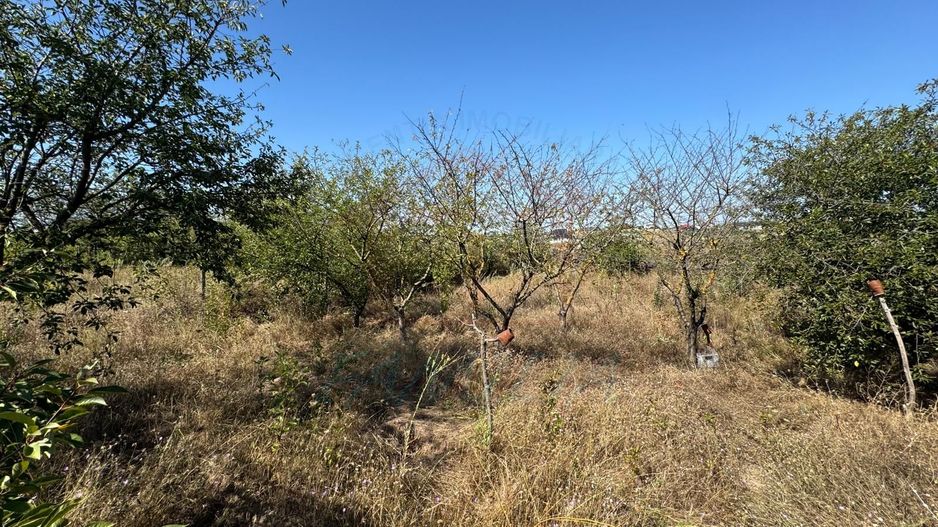 Cabana din lemn+ teren 2000 mp , 105.000 Euro negociabil, zona Metro - Poză 9