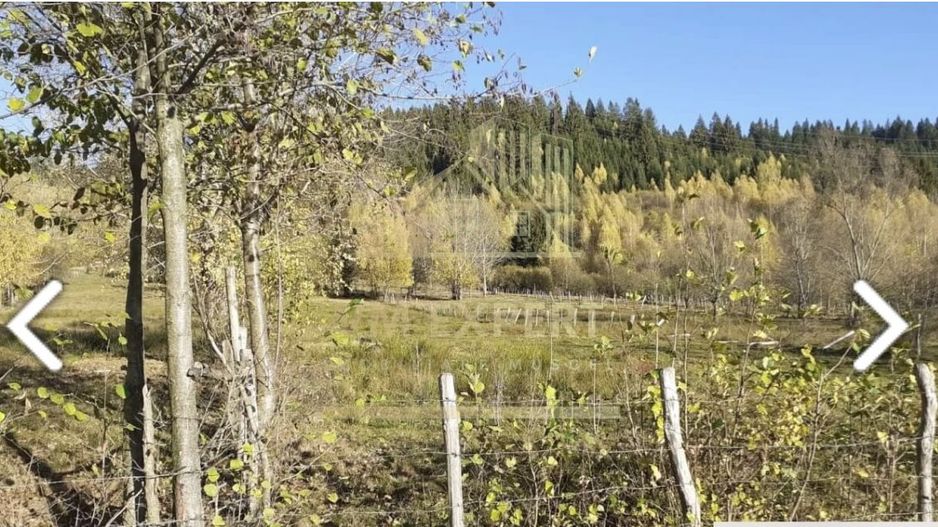 TEREN INTRAVILAN 2100 MP, LERESTI, PRET 42000 EURO - Poză 2