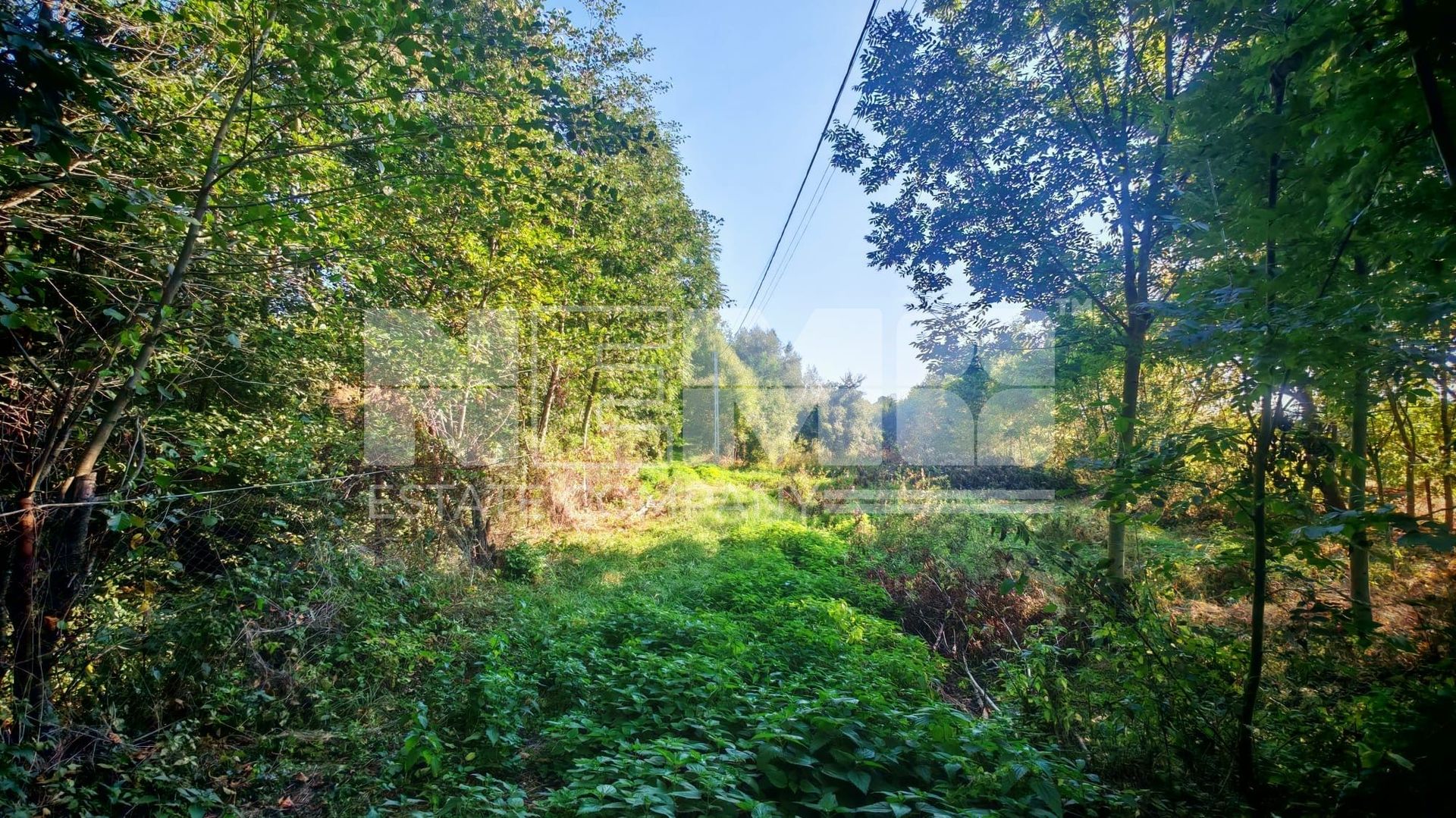 TEREN INTRAVILAN | FRATĂUȚII NOI | 1.1 HA - Poză 9