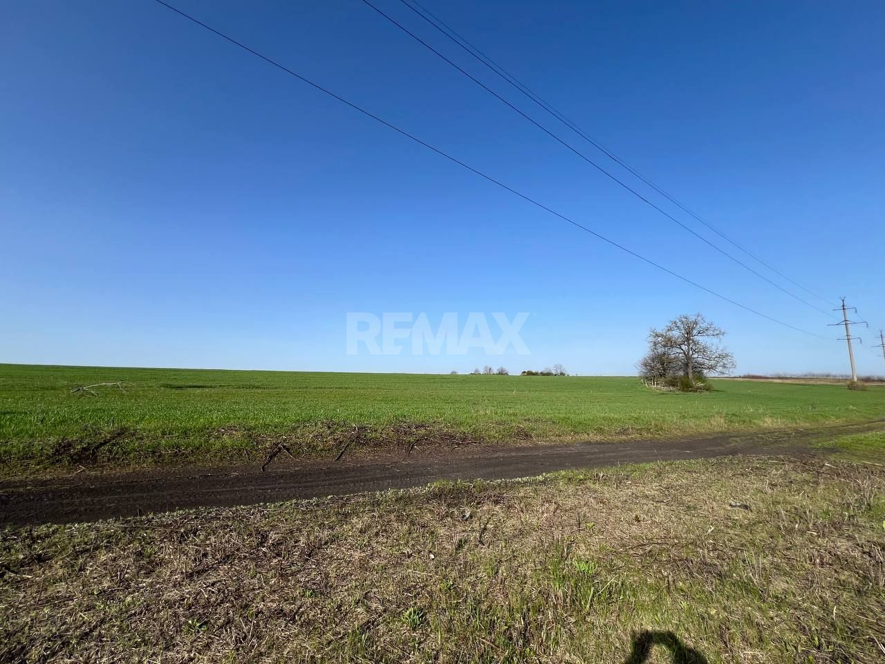 Teren 41,49 ari Ghidighici | deschidere 122 m | agricol | investiție - Poză 7