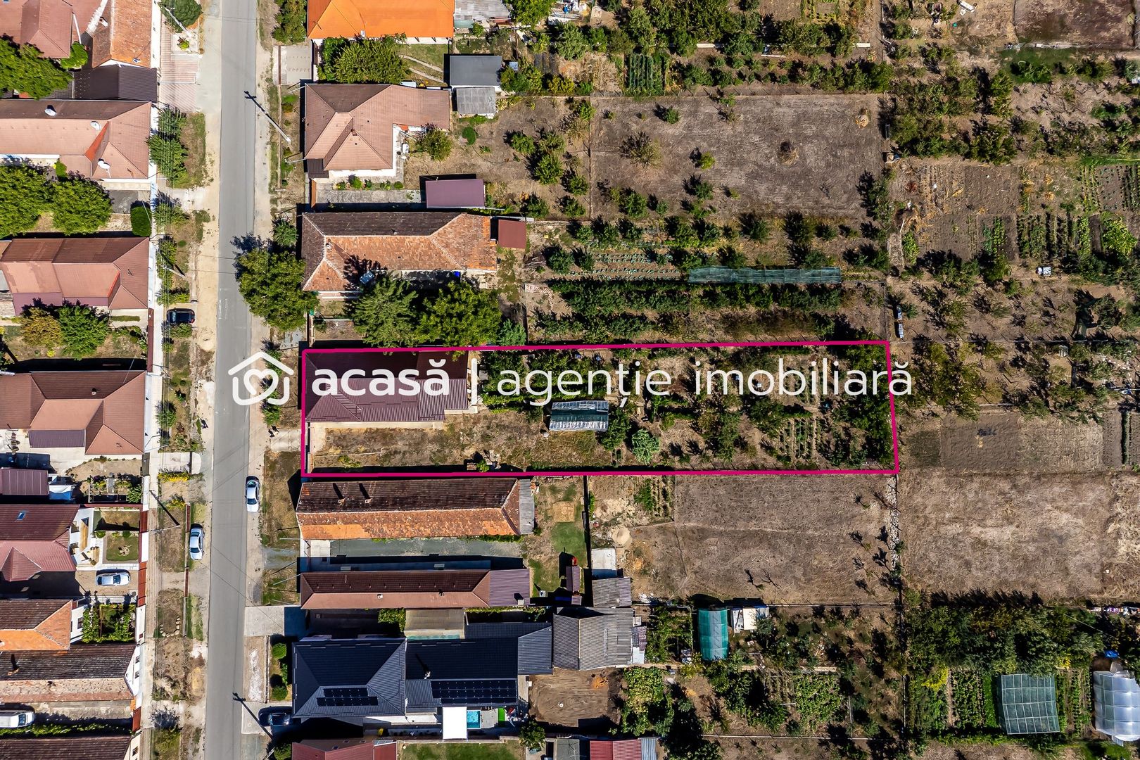 Casa 4 camere - Teren 1603mp - Livada, Arad - COMISION 0% - Poză 6