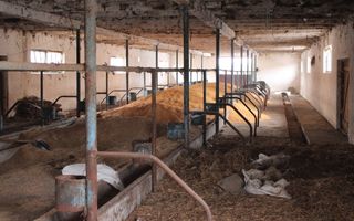 Ferma de Vânzare – Oportunitate Unică! - Poză 26