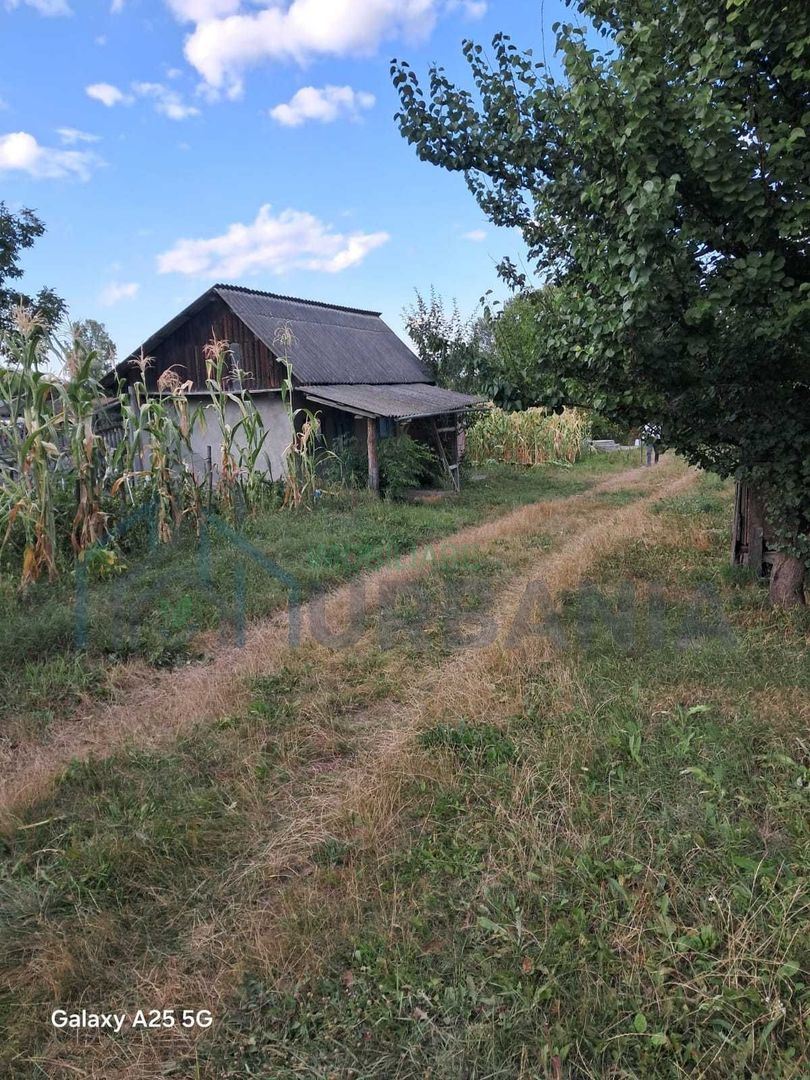 Domeniu de 7.500 mp cu casă bătrânească, anexe, livadă și iaz în Stolniceni-Prăjescu, Iași - Poză 4