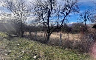 Teren Daesti / 814mp - Poză 6