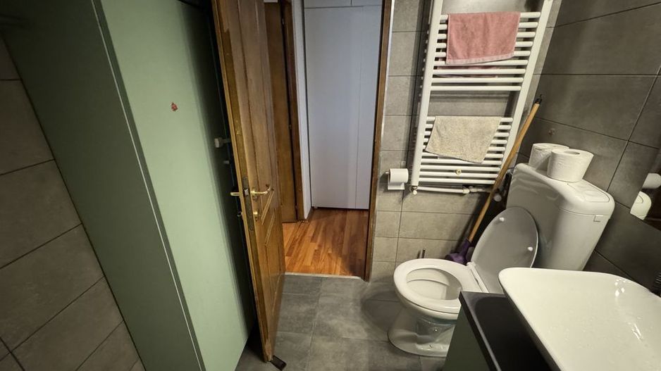 Apartament 2 camere, cu vedere la Parcul Tineretului. Centrala proprie. Parcare. - Poză 6