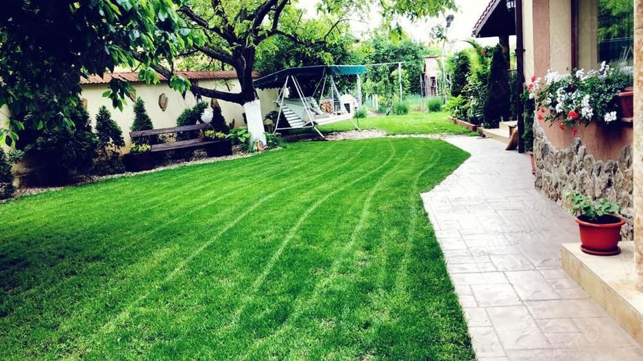 BRASADAS vinde casa individuala Lucian Blaga. - Poză 3