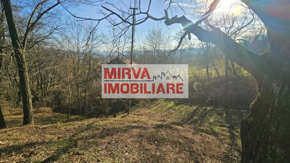 Vanzare casa plus anexa, teren 3843 mp, in Sat Pietriceaua - Poză 9