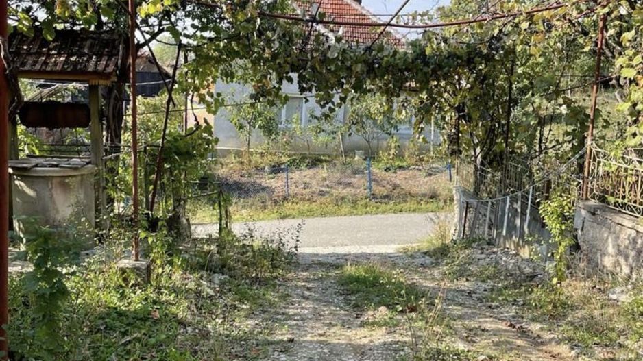 Vand casa la tara - Poză 7