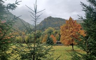 Teren de vis de vanzare in Remeti-Bihor-27p0 mp - Poză 11