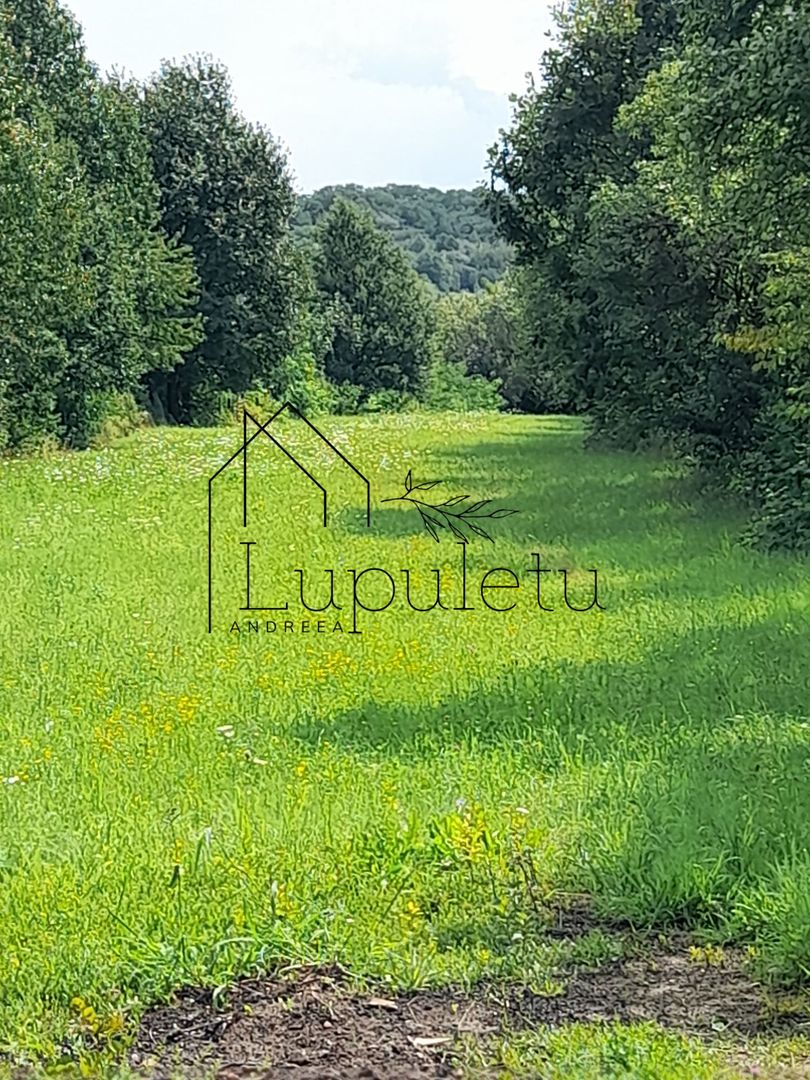 Teren Intravilan | 1500 MPU | Tocile, Comuna Sadu - Poză 6