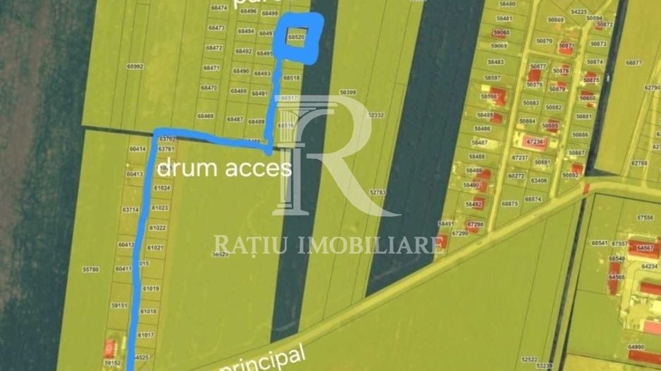 Teren intravilan 500 MP | Livada de Bihor | Bihor - Poză 4