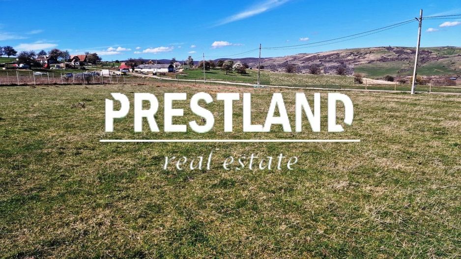 Teren situat în Daia Nouă!! - Poză 2