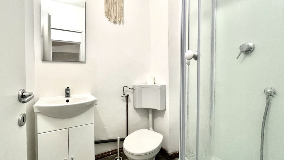 Apartament 3 camere, 2 bai, etajul 1,  in  zona Aradului - Piața Verde - Poză 8