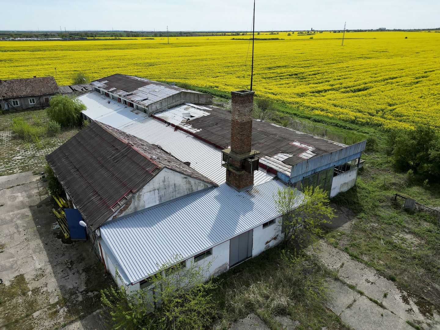 Hală industrială - Poză 3